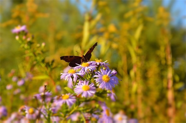 酒桌祝福语大全50句 酒桌祝福语大全50句