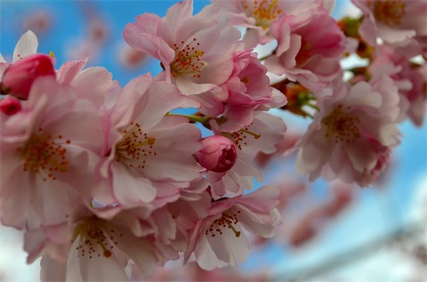 激励女人打扮的句子 鼓励女人打扮的句子