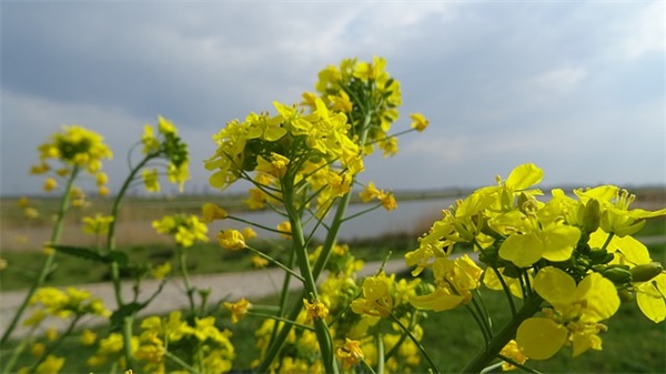 给女朋友留言的暖心爱情句子