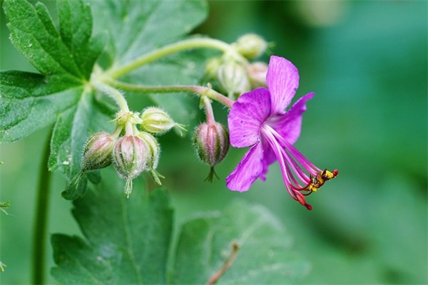 坚持自律的励志句子 自律的励志话