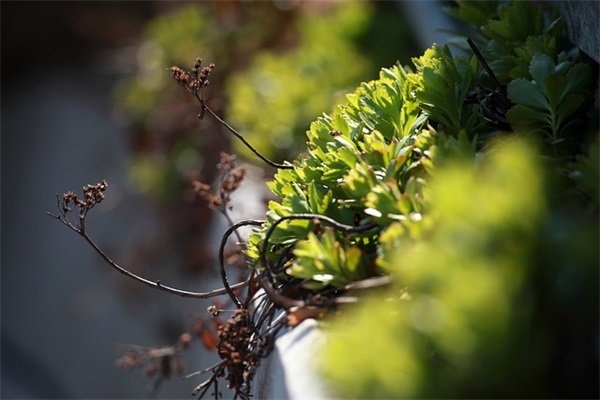 再见六月你好七月句子(六月再见七月你好励志句子)