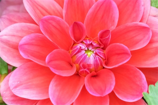 描写眉毛的优美句子