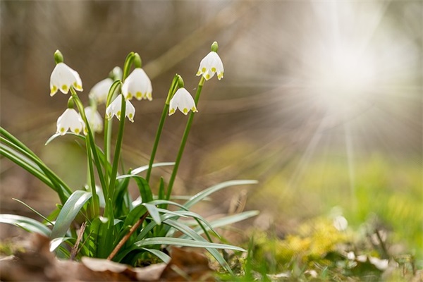 不能陪爸爸过生日句子(没能陪妈妈过生日的句子)