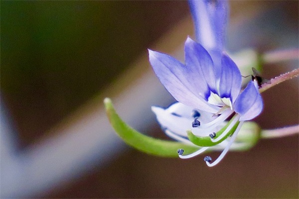 520表达爱的浪漫暖心句子