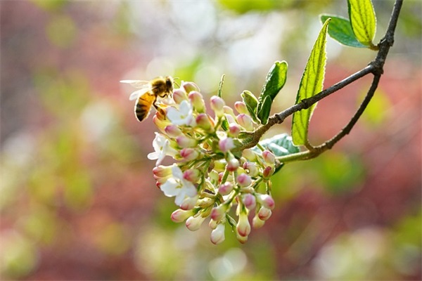 写心情的句子 描写心情的短句