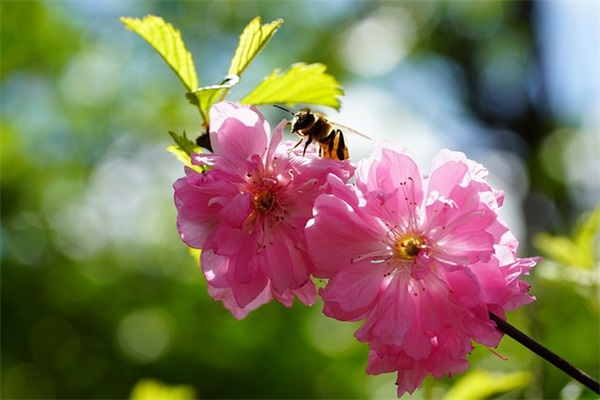 人生感悟的句子短句精辟现实精选