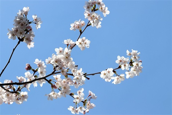 精选的描写五一的句子大全(静态描写的句子大全)