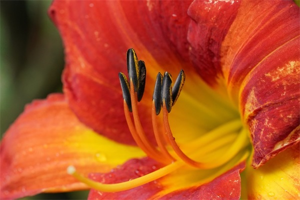 最美追求女孩儿句子