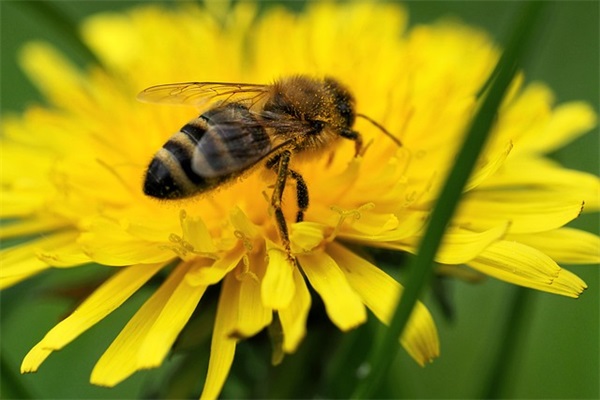 励志摘抄加赏析句子(励志美文100字摘抄加60字赏析)