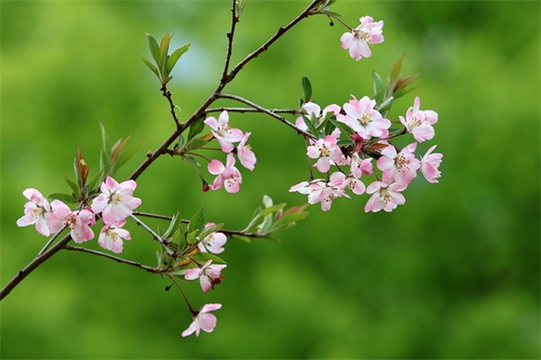 最让人伤心难过的句子