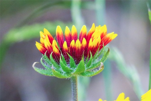 描写春夏秋冬的优美句子