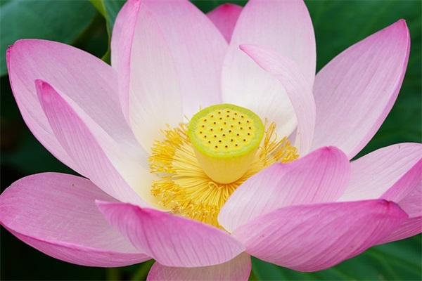 九月的秋日祝福语