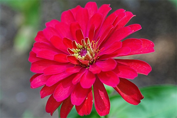 弟媳妇生日祝福语 弟媳生日快乐祝福语怎么写