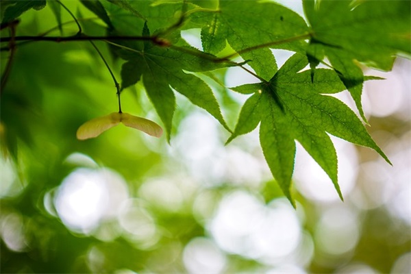 妈妈的姐妹祝福语大全集 闺蜜升为妈妈的祝福语