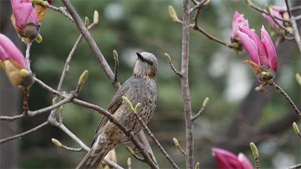 生日祝福语简短老人50句
