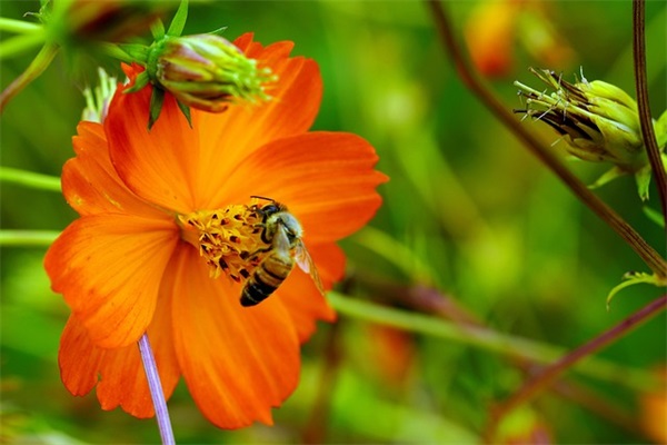 结婚纪念日祝福语简单(结婚纪念日经典短句祝福)