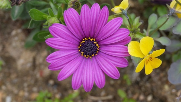 国庆的假期活动祝福语