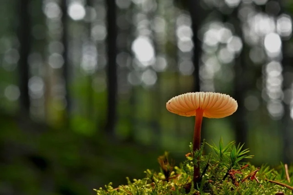 父母给孩子的生日祝福语简短独特