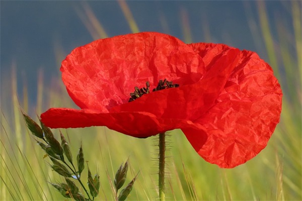 一年过两次生日的祝福语 同时过生日的祝福语