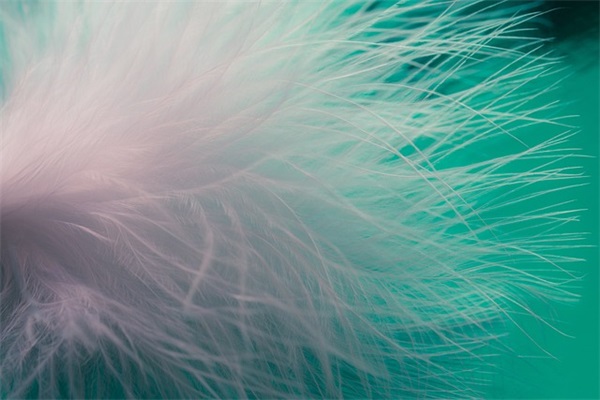 2026年问候早安的优美句子简短走心