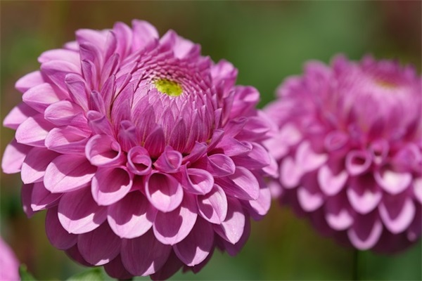 夸唱歌好听的话 赞美唱歌好听的句子