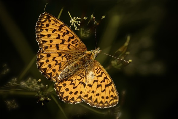表白被拒绝后的句子