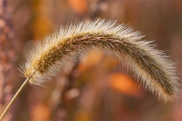 关于西塘的优美句子 形容下雨西塘的句子