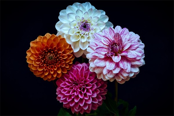 表达心情极度忧伤的句子