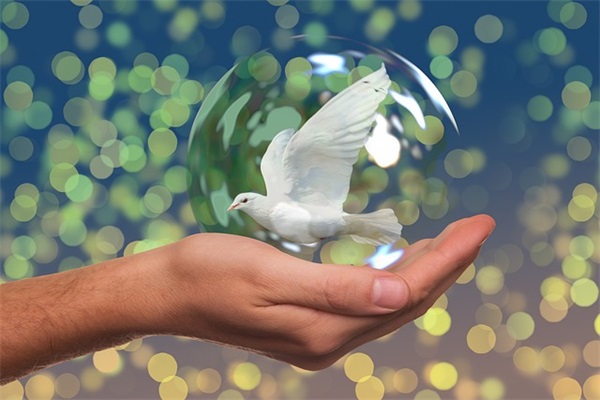 很震撼的励志句子