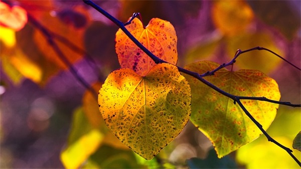 字的伤感句子69句