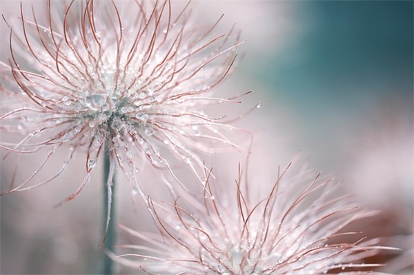 描写自然景物的句子 平静又响亮的流着