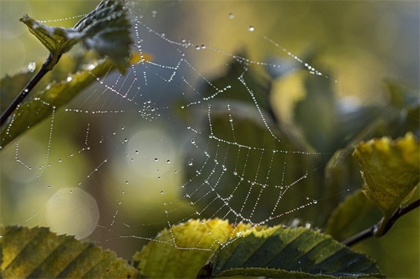 高级适合发文案的句子大全