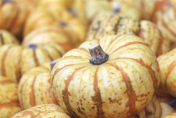 形容使用好食材的句子