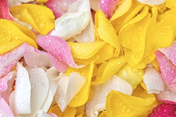 简短奇葩的生日祝福语29句