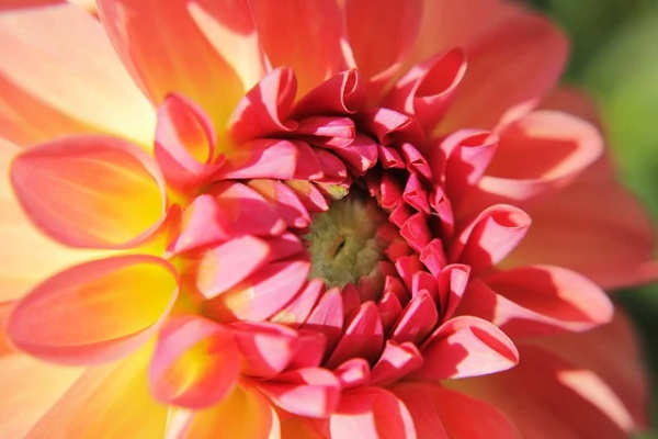 给父母的祝福语四字42句