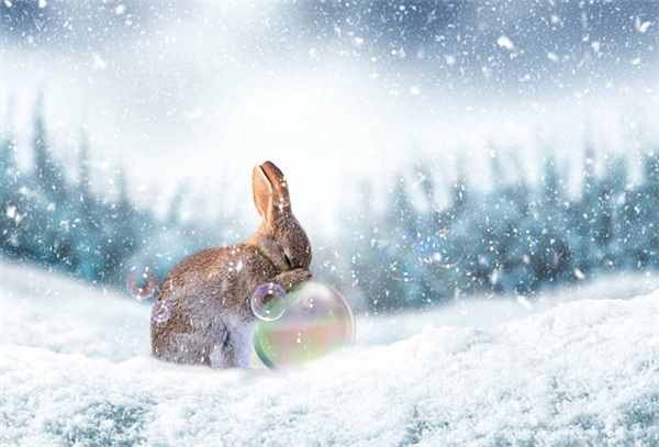 新郎官宣的结婚祝福语