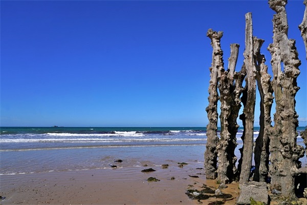 512护士节祝福语