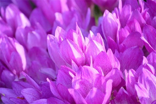 积极励志押韵的句子 励志押韵句子