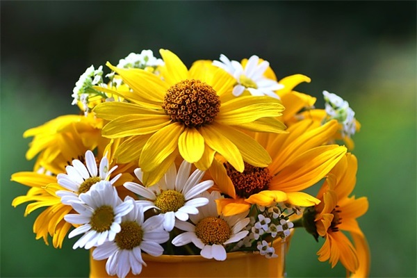 表达对家人思念的句子