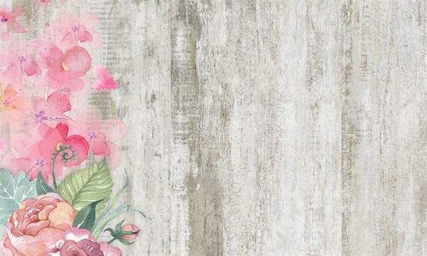 有关佛语禅心禅语人生短句子(佛语禅心的人生感悟句子)