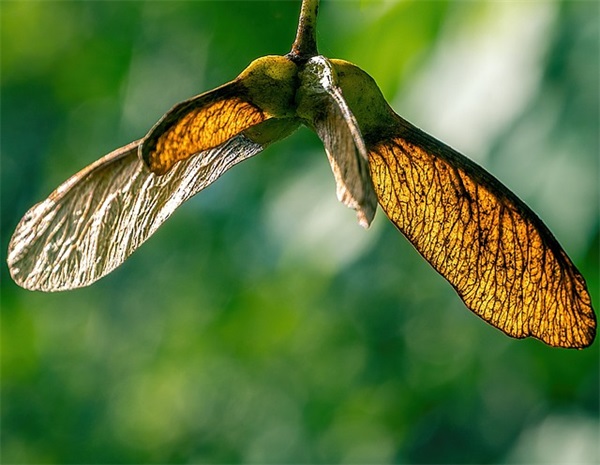 温柔干净且无关爱情的句子