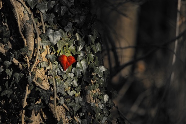 描写工作的优美句子