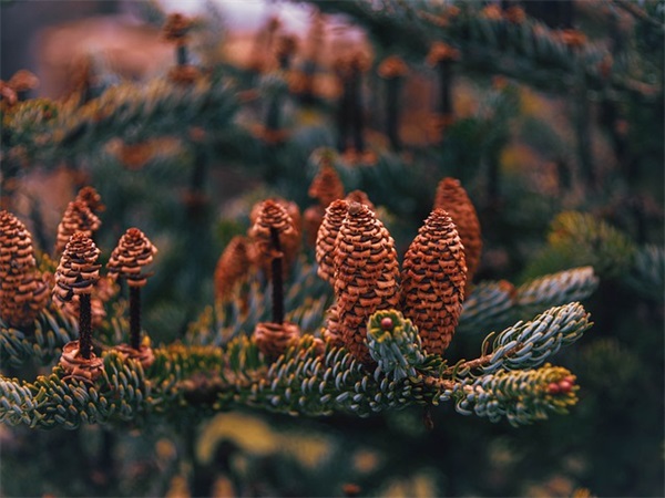 出行顺利简短祝福语