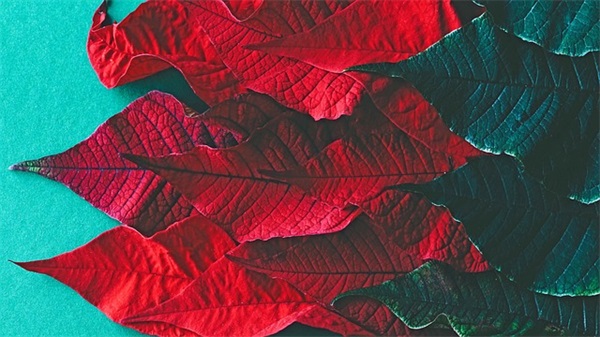 祝早日康复的祝福语短句