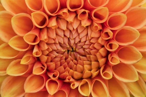 最新网络生日祝福语