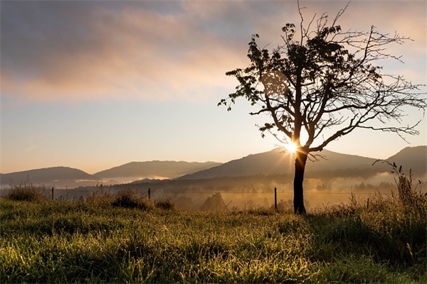 商务祝福语英语