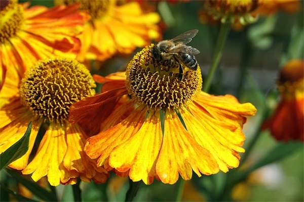 十字短句子 十字暖心短句子