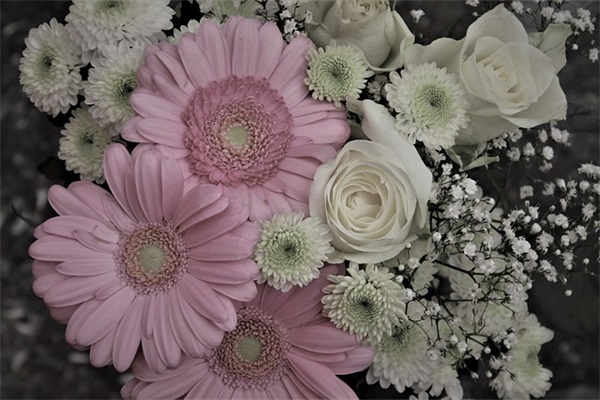 早上起床日出日落的心情句子 早上起床的句子