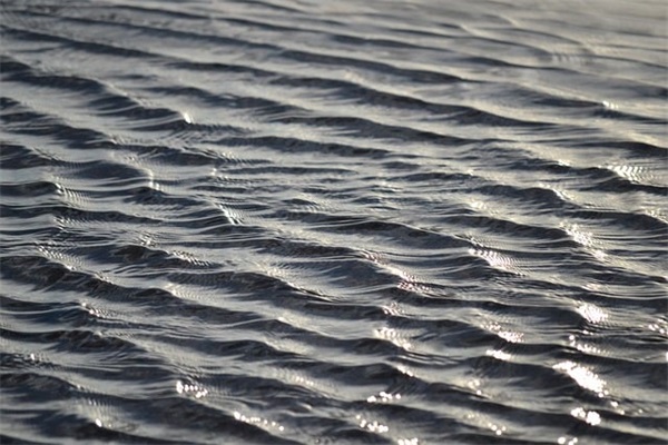 享受生活社会正能量的简短句子(元气满满正能量的简短句子)