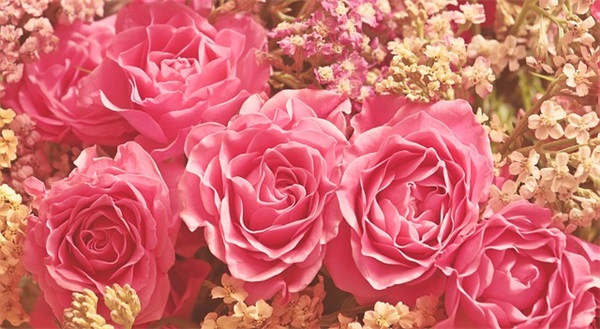 内心强大的句子 内心变强大的句子